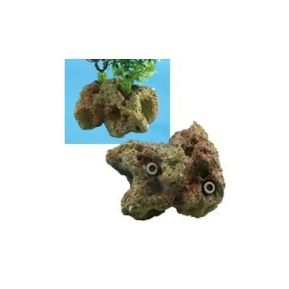 Coral Plant Base Brown (Small)